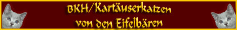 Banner der Eifelbaeren